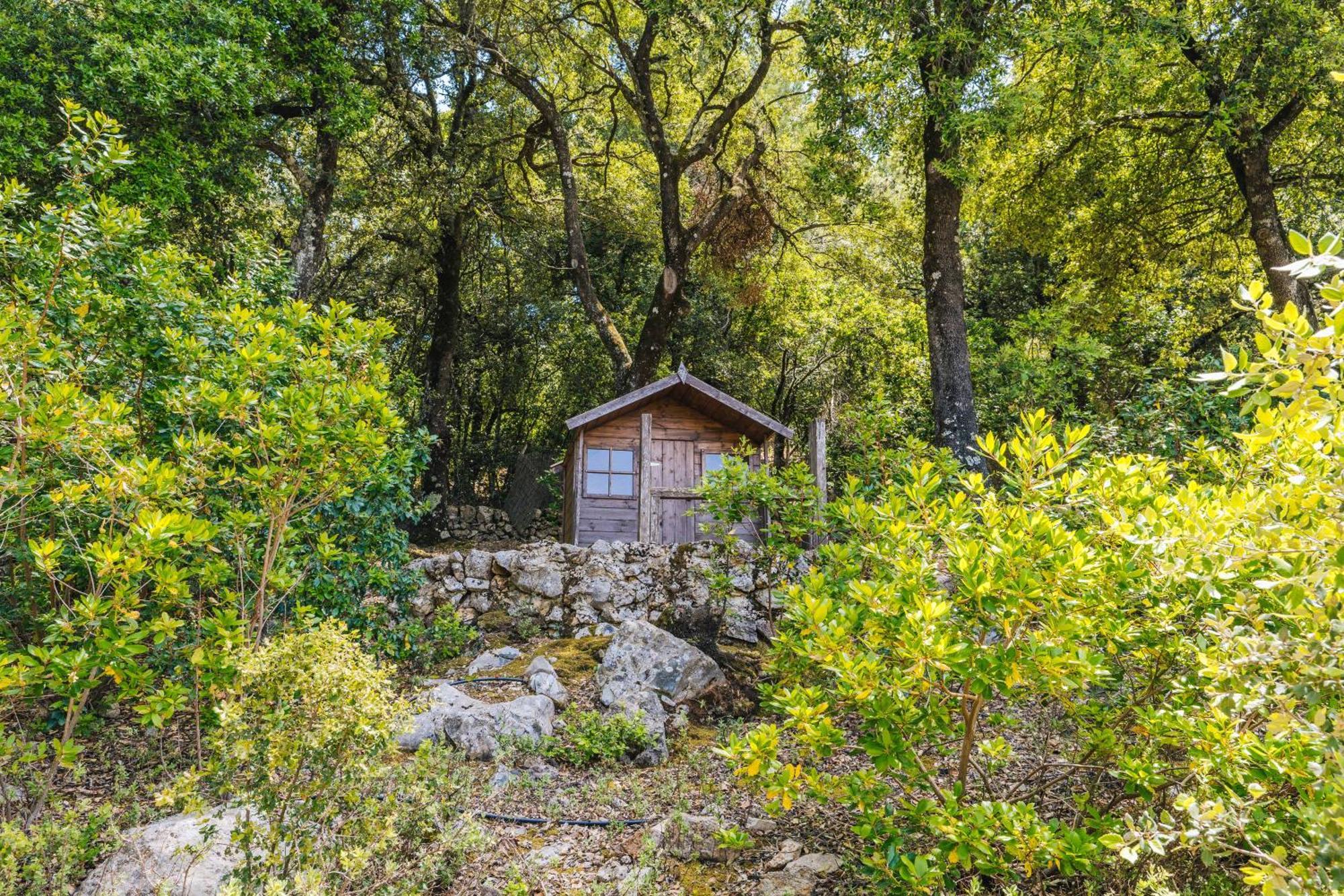 Ca'S Pastor - Chalet De Montana اسكوركا المظهر الخارجي الصورة